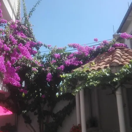 Apartments Vodice Marica Apartment Vodice