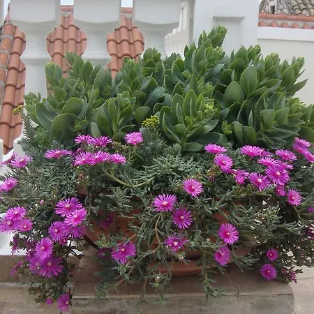Marica